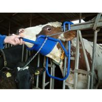 Kopheffer Vink - thumbnail