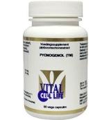 Vital Cell Life Pycnogenol Capsules