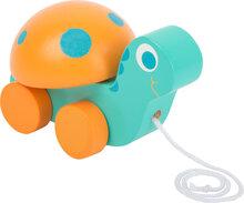 Trekfiguur dieren Schildpad""