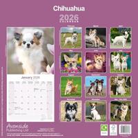 Chihuahua Kalender 2026 - thumbnail
