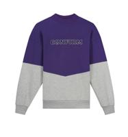 Confirm Vancouver Duo Sweater Heren Grijs/Paars - Maat XXL - Kleur: PaarsGrijs | Soccerfanshop - thumbnail
