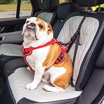 KONG AUTOGORDEL HOND ULTIMATE SAFETY - thumbnail