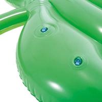 Intex 58782EU Opblaasbare Palmblad Luchtbed 213x142 cm - thumbnail