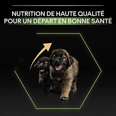 Purina PRO PLAN DOG Large Robust Puppy, droogvoer voor hondenpuppy's met OPTISTART, rijk aan kip & rijst, premium hondenvoer, 3 kg