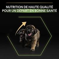 Purina PRO PLAN DOG Large Robust Puppy, droogvoer voor hondenpuppy's met OPTISTART, rijk aan kip & rijst, premium hondenvoer, 3 kg - thumbnail