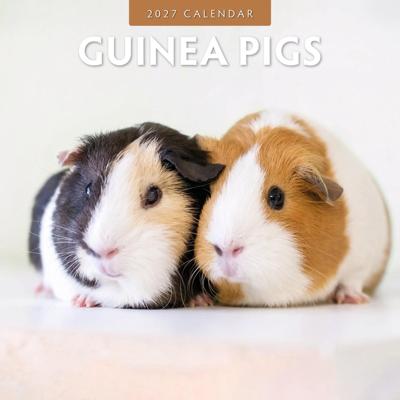 Cavia Kalender 2027 Cavia Kalender 2027