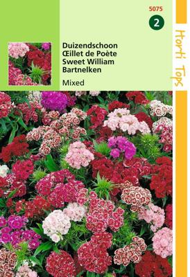 Zaden Dianthus Duizendschoon laag gemengd Hortitops - Hortitops