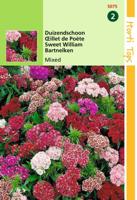 Zaden Dianthus Duizendschoon laag gemengd Hortitops - Hortitops - thumbnail
