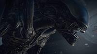 Alien Isolation - thumbnail