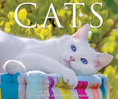 Katten Scheurkalender 2026 Boxed