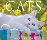 Katten Scheurkalender 2026 Boxed - thumbnail