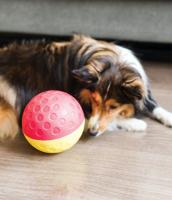 Nina Ottosson dog treat tumble blauw - thumbnail