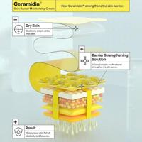 Dr. Jart+ Ceramidin Skin Barrier Moisturizing Cream 50 ml - thumbnail