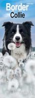 Border Collie Kalender 2026 Slimline - thumbnail