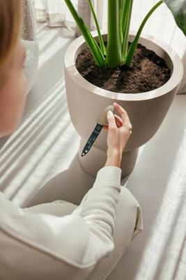 Elho Smart pebble plantverzorging bruin Elho Smart pebble plantverzorging bruin