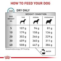 Royal Canin Dog Anallergenic Dry 3kg - thumbnail
