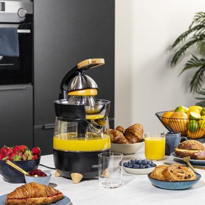 Princess Pur Citruspers 300 W BPA-vrij Zwart (mat)