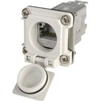 Telegärtner 100022952 STX V6 RJ45-flensset variant 6 Chassisbus, inbouw Aantal polen: 8P8C Lichtgrijs 1 stuk(s) - thumbnail