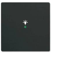 Busch-Jaeger 2CKA006220A0499 Wipschakelaar licht Afdekking 1-voudig free@home Zwart, Diepzwart (RAL 9005) 1 stuk(s) - thumbnail