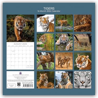 Tijger Kalender 2026