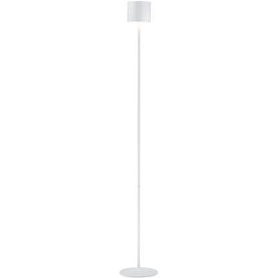 LED Vloerlamp - Musterring Marisa - 1 Lichtpunt van 3 Watt - Dimbaar - Aanpasbare Lichtkleur - Hoogte Aanpasbaar - Geheugenfunctie - Nachtlamp - Afstandsbediening - Mat Wit - Metaal