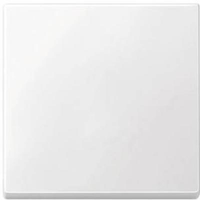 Merten 433119 Wisselschakelaar Afdekking System M Polar-wit 1 stuk(s)