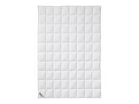 Fjödur Donzen zomer dekbed licht (200 x 200 cm) - thumbnail