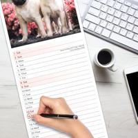 Pug Slim Calendar 2026 Dog Breed Slimline Calendar - 12 Month - thumbnail