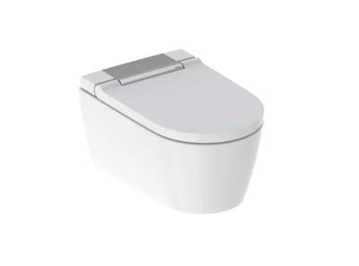 DoucheWC Geberit AquaClean Sela | Ladydouche | Softclose | Chroom