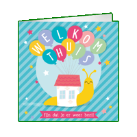 XL Greeting Cards Welkom thuis - thumbnail