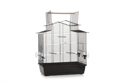 BZ VOGELK BIG IZA3 OPEN ZWT59X38X65