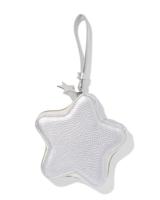 HEMA Etui 15.5x3x15cm ster (zilver) - thumbnail