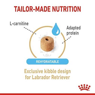 Royal Canin Labrador Retriever Adult 5+ hondenvoer voor honden vanaf 5 jaar 12kg - thumbnail