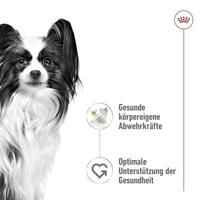 Royal Canin X-Small Adult in Gravy (brokjes in saus) natvoer hond 12 x 85 gram - thumbnail