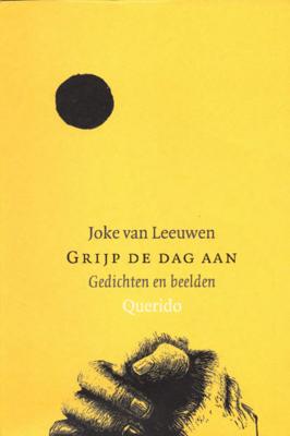 Grijp de dag aan - Joke van Leeuwen - ebook