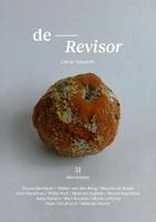 Revisor 31 - Diverse auteurs - ebook - thumbnail