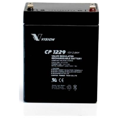Loodaccu Vision CP1229 Loodvlies (AGM) 2.9 Ah 12 V 1 stuk(s)