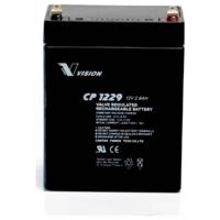 Loodaccu Vision CP1229 Loodvlies (AGM) 2.9 Ah 12 V 1 stuk(s) - thumbnail