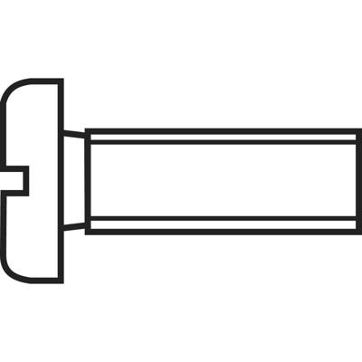 TOOLCRAFT 888683 Cilinderkopschroeven M2.5 30 mm Sleuf DIN 84 Staal Verzinkt 1 stuk(s)