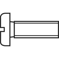TOOLCRAFT 888683 Cilinderkopschroeven M2.5 30 mm Sleuf DIN 84 Staal Verzinkt 1 stuk(s) - thumbnail