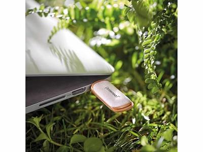 Intenso Green Line USB-stick 32 GB Beige, Bruin 3540480 USB-A 3.2 Gen 1