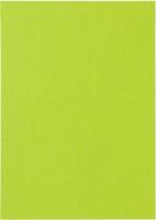 Kopieerpapier papicolor a4 100gr appelgroen - thumbnail
