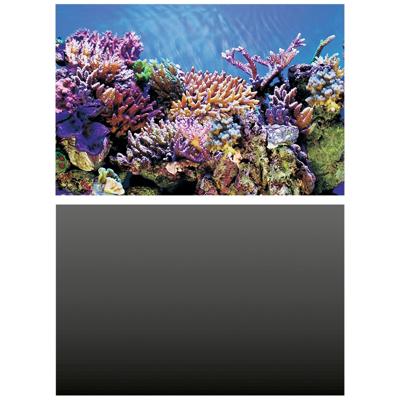 Deco Poster A4 120X49 Cm aquaria Superfish - Superfish Deco Poster A4 120X49 Cm aquaria Superfish - Superfish