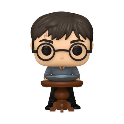 Funko Pop! figuur Harry Potter Harry Potter with Pensieve