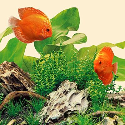 Juwel LED lamp Nature 31 Watt 1200 mm - LED Tube Juwel Gebr. de Boon - Gebr de boon Juwel LED lamp Nature 31 Watt 1200 mm - LED Tube Juwel Gebr. de Boon - Gebr de boon