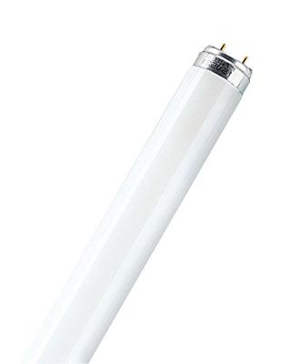 Osram L 15 W/830 fluorescente lamp G13 Warm wit B Osram L 15 W/830 fluorescente lamp G13 Warm wit B