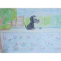 De avonturen van Blacky - Nupur Geerds-Deen - Paperback (9789402133295) - thumbnail