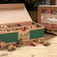 alsa-nature Kerst-selectie - thumbnail