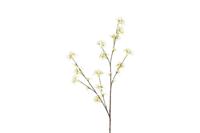 Decostar zijdebloem malus 111 cm wit - thumbnail