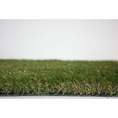 Grastapijt Roma 20m²